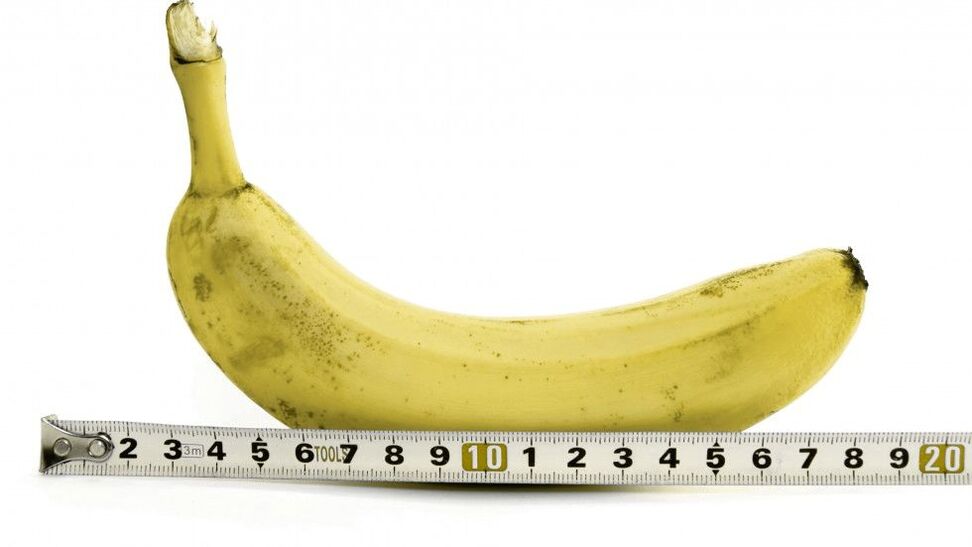 measuring the penis after gel enlargement using the example of a banana