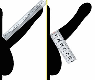 measure penis diameter before enlargement